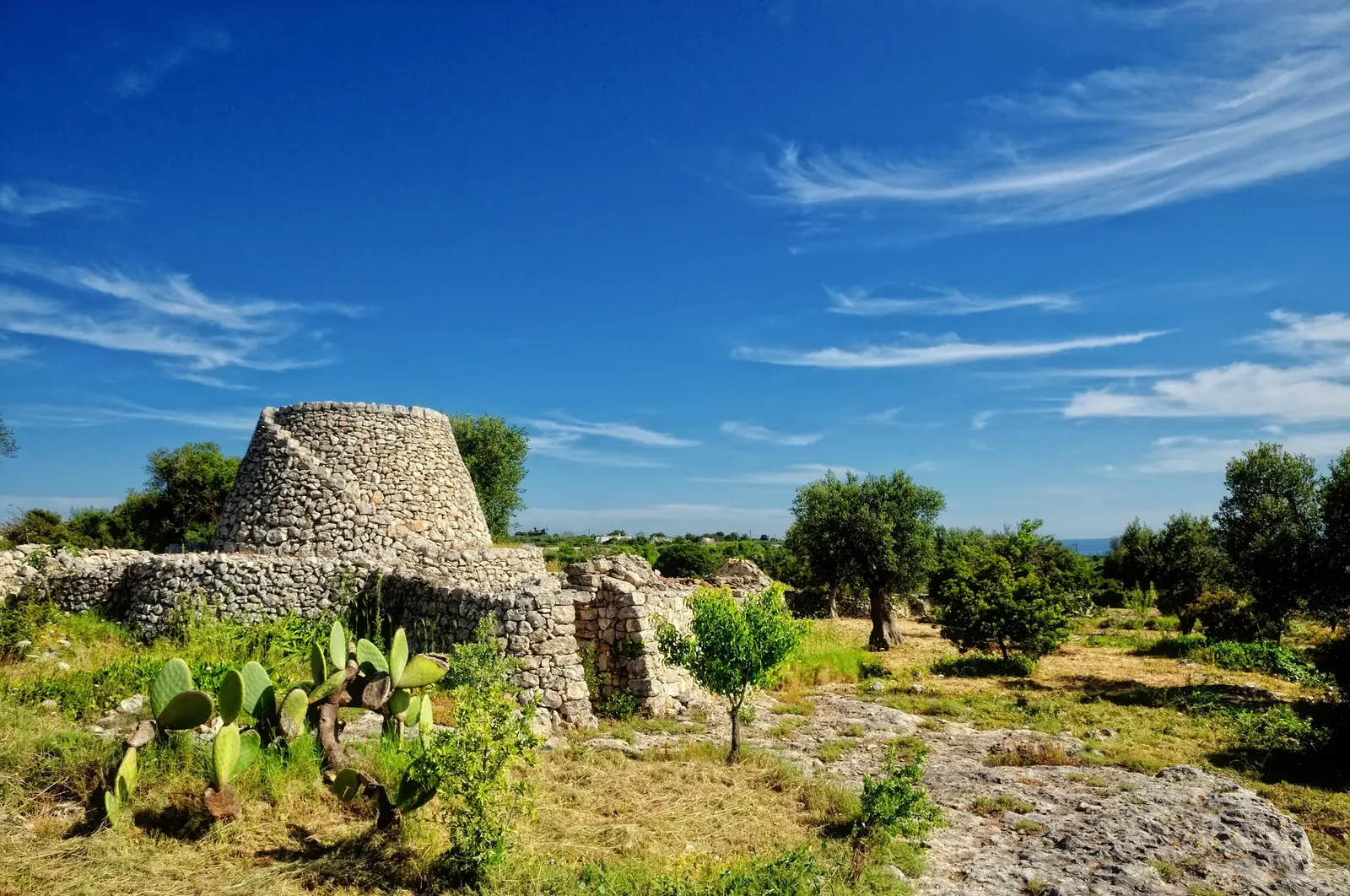 Olive oil workshop in Puglia, Italy, hands-on experience making traditional extra virgin olive oil from local olives.