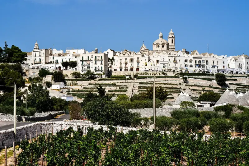 Wine Tasting in Valle d'Itria, Puglia
